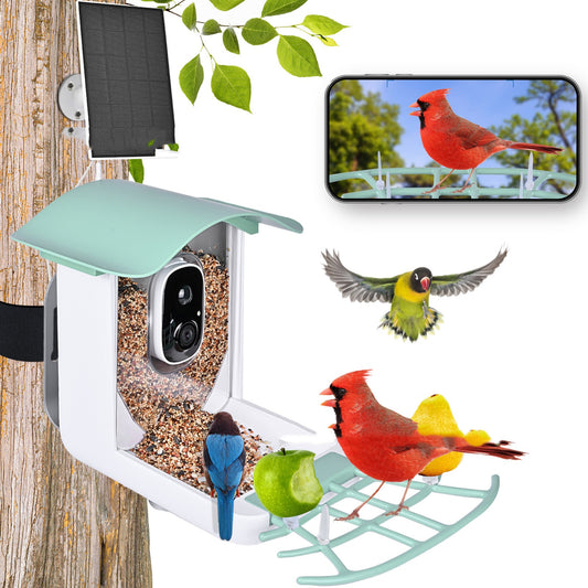 Solar-Powered | Waterproof Video Birds Feeder