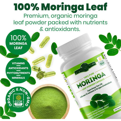 Rosabella Moringa | Immune System, Energy & Metabolism