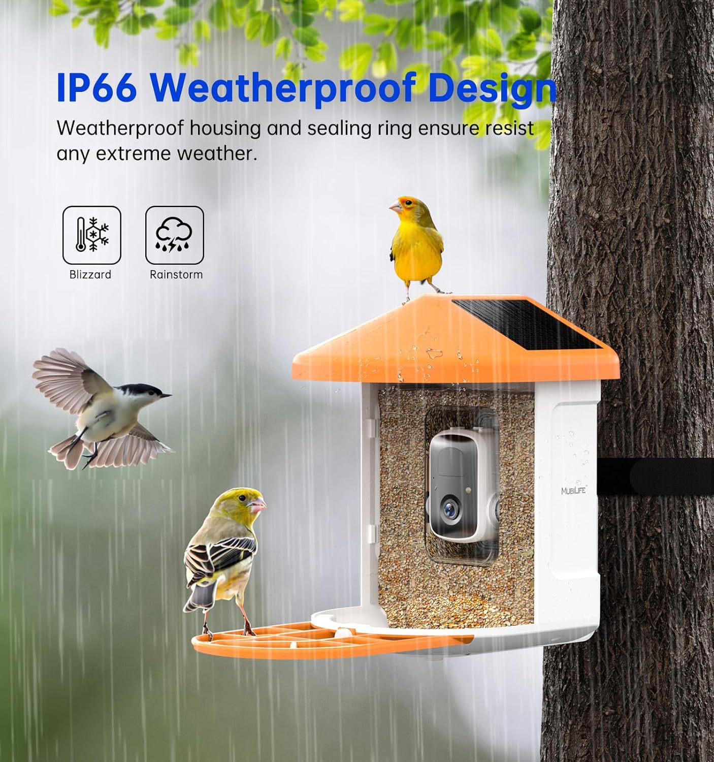 Smart Feeder Surveillance Wireless Camera