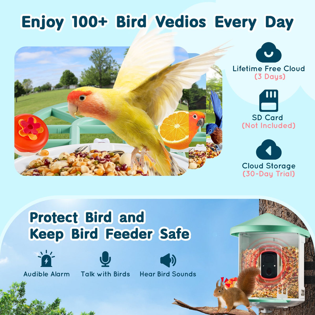 Smart Bird Feeder | With Camera 2K HD AI Identify Bird Species Auto Capture