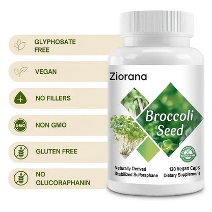 Broccoli Seeds™ – Balance, Detox &amp; Calm