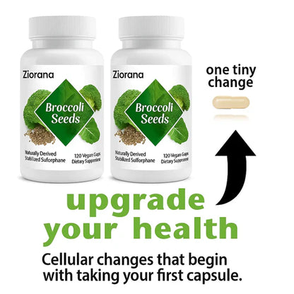 Broccoli Seeds™ – Balance, Detox &amp; Calm